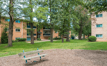 Picnic area